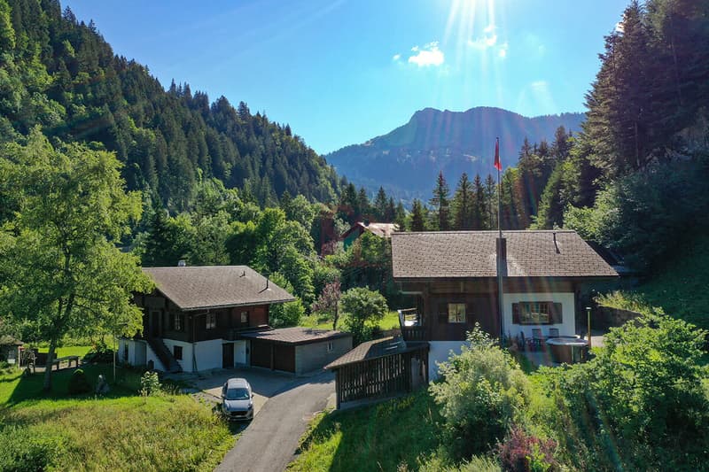 Magnificent chalet on plan in Jaun (6)