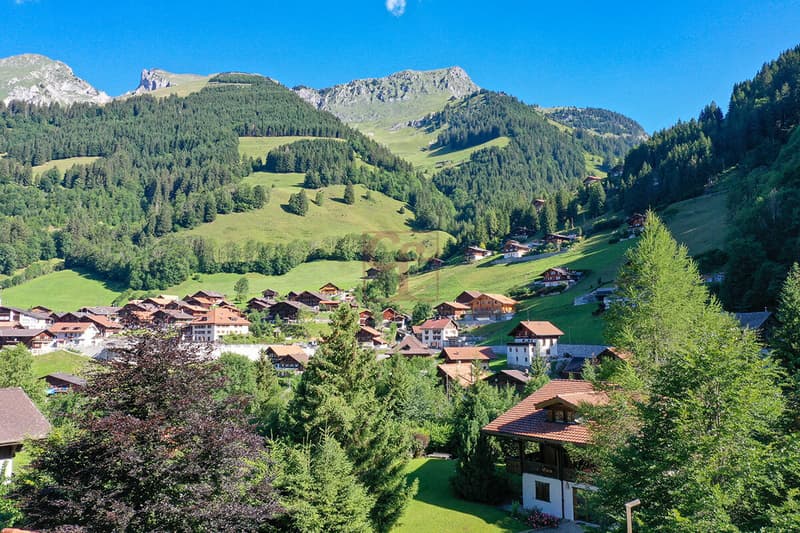 Magnificent chalet on plan in Jaun (4)
