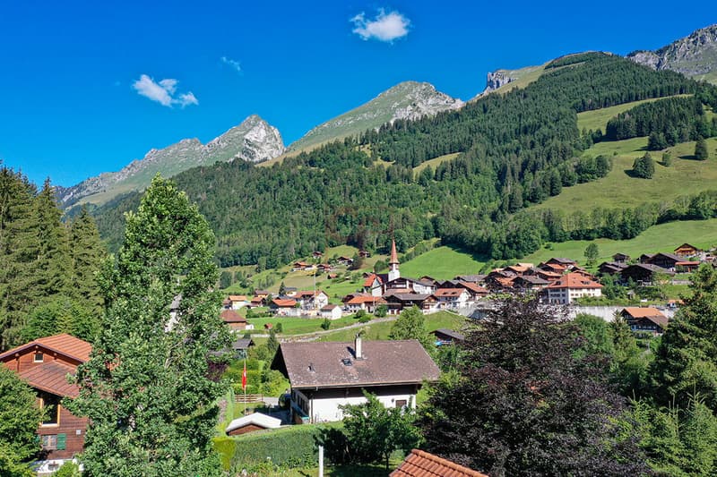 Magnificent chalet on plan in Jaun (5)