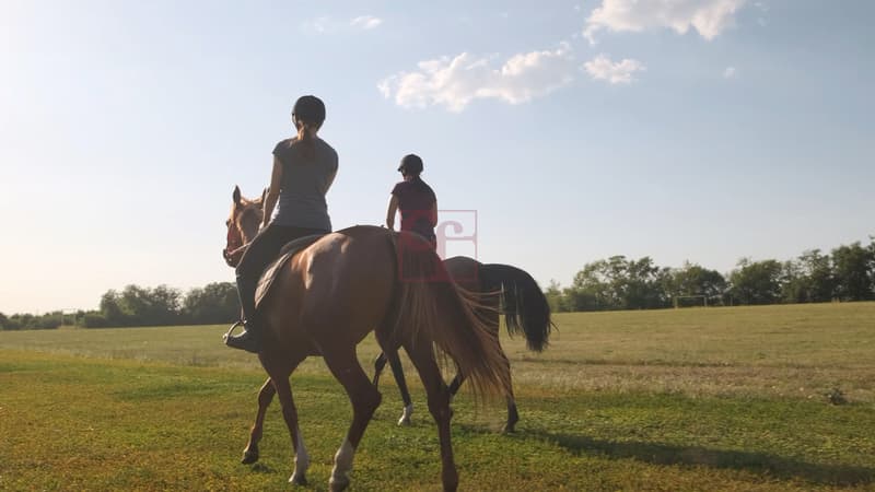 idéalement situé pour  les balades à cheval
