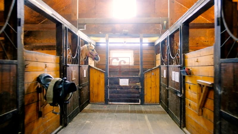 Plot of 30'203 m2 for equestrian activities (7)