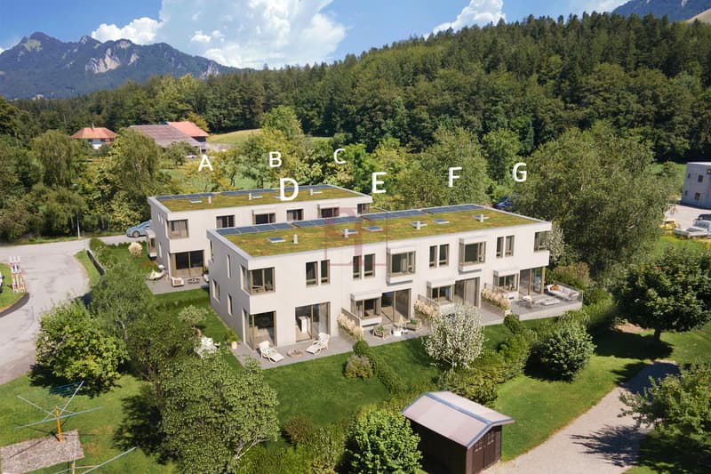 La Tour-de-Trême - Confort, modernité et calme : villa en PPE (4)