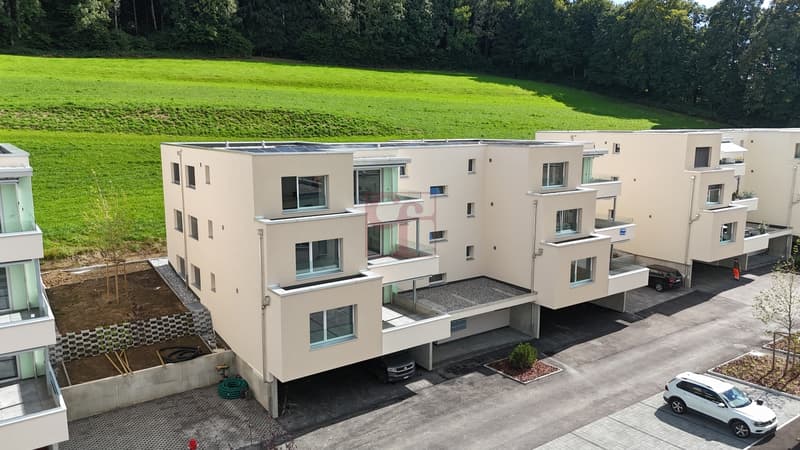 Arconciel - Magnificent new 4.5 room apartment (3)