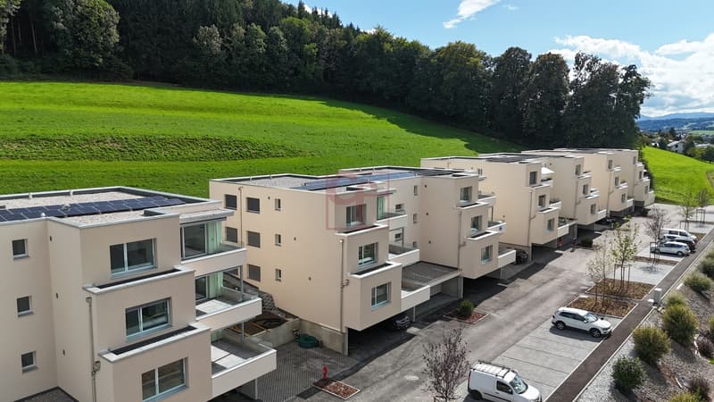 Arconciel - Magnificent new 4.5 room apartment (4)