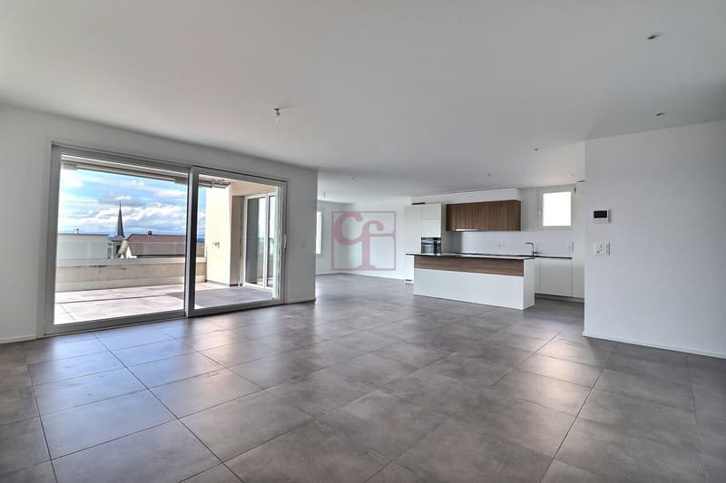 Grande pièce à vivre d'env. 50m2 avec accès sur le balcon