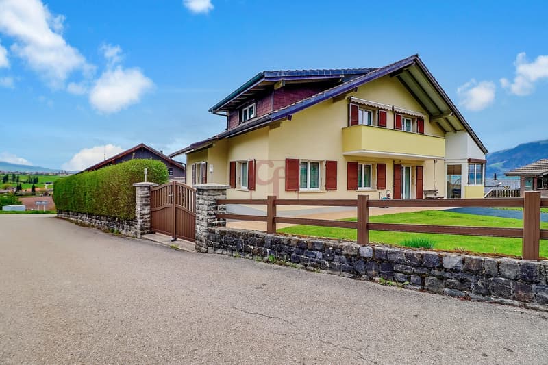 Le Pâquier - Maison familiale avec deux appartements (12)