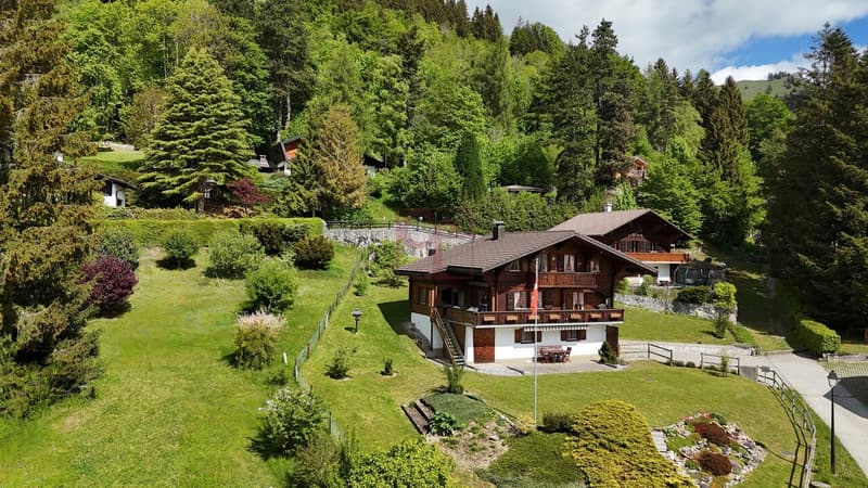 Chalet vue drône