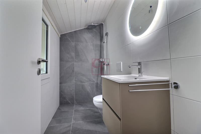 Salle de bain avec douche (dans la chambre parentale)