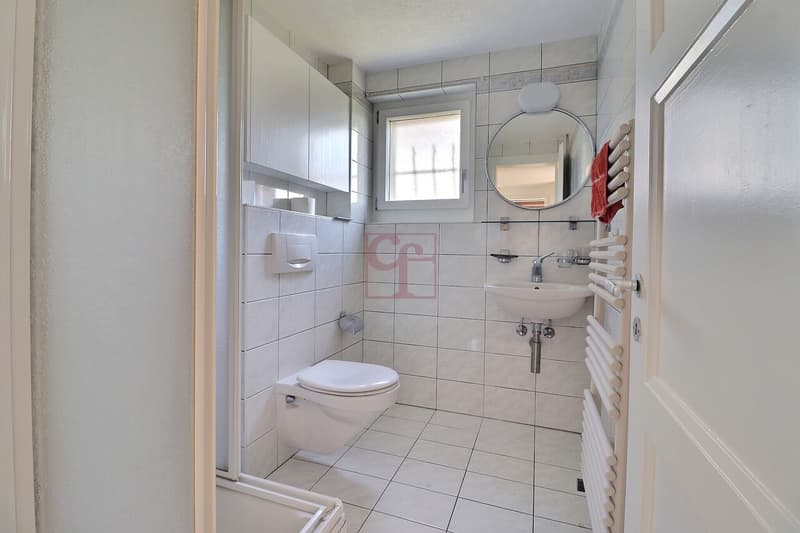Grand 2.5 pc. (env. 75 m2) avec magnifique jardin arborisé (6)