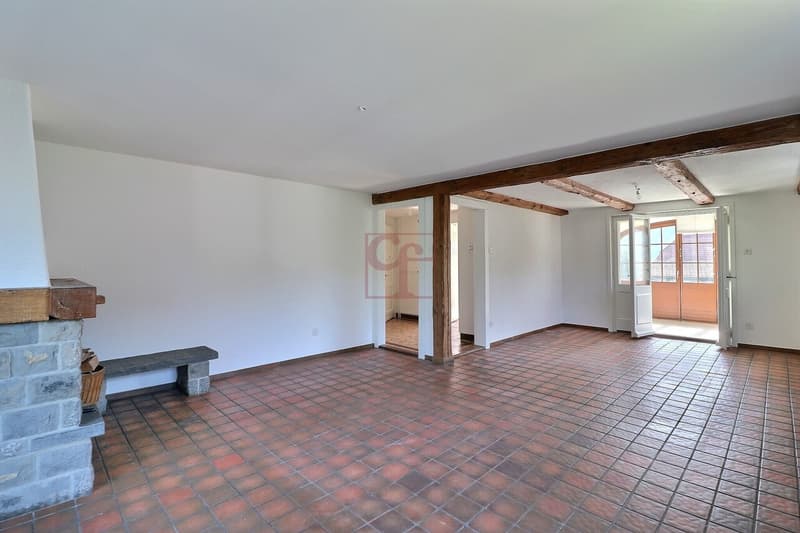 Ampio appartamento di 2.5 locali (circa 75 m2) con bel giardino alberato (4)