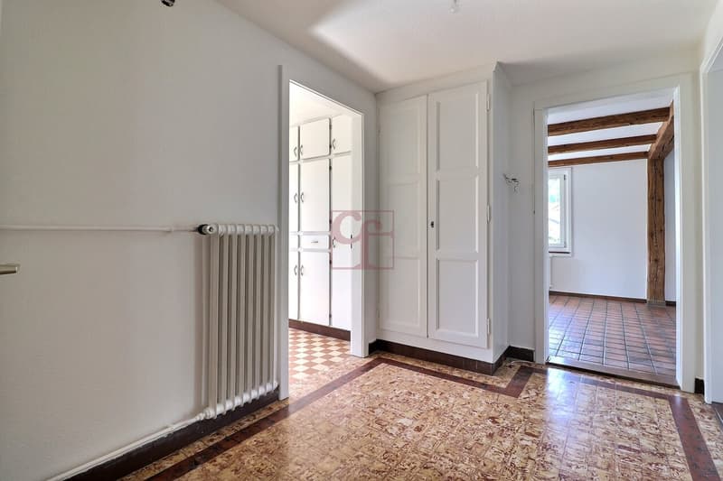 Ampio appartamento di 2.5 locali (circa 75 m2) con bel giardino alberato (10)