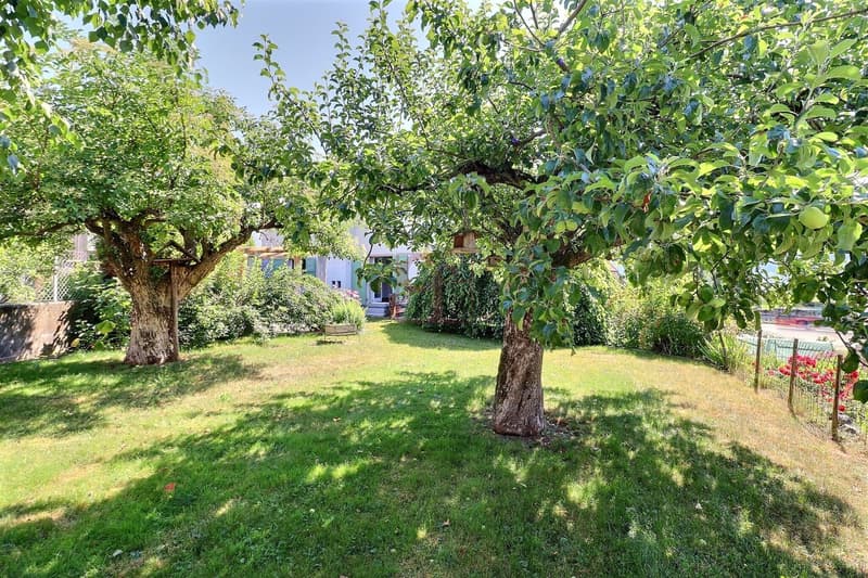 Ampio appartamento di 2.5 locali (circa 75 m2) con bel giardino alberato (2)