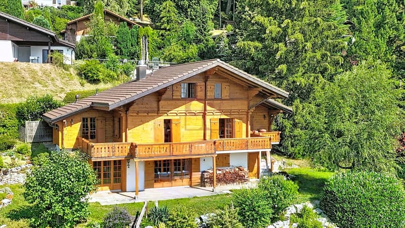 Wooden chalet in Crésuz, 20 minutes from Bulle (2)
