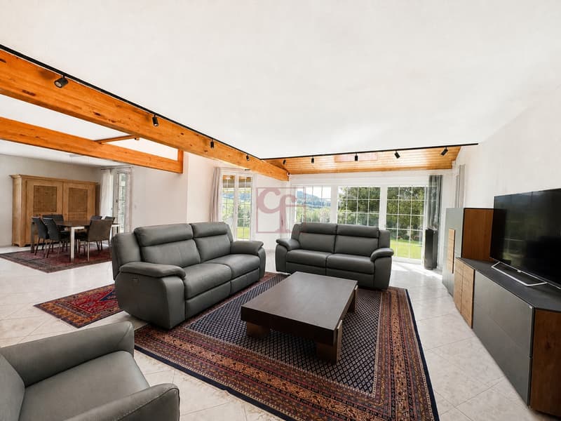 Salon avec accès direct à la terrasse