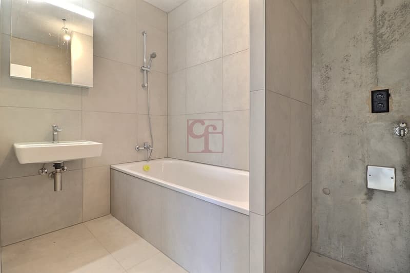Appartement neuf de 4.5 pièces à louer ! (5)