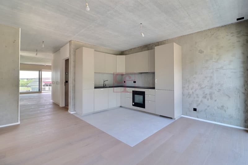 Appartement neuf de 4.5 pièces à louer ! (4)