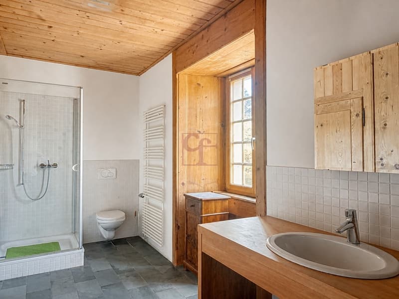 Salle de bains au rez-de-chaussée