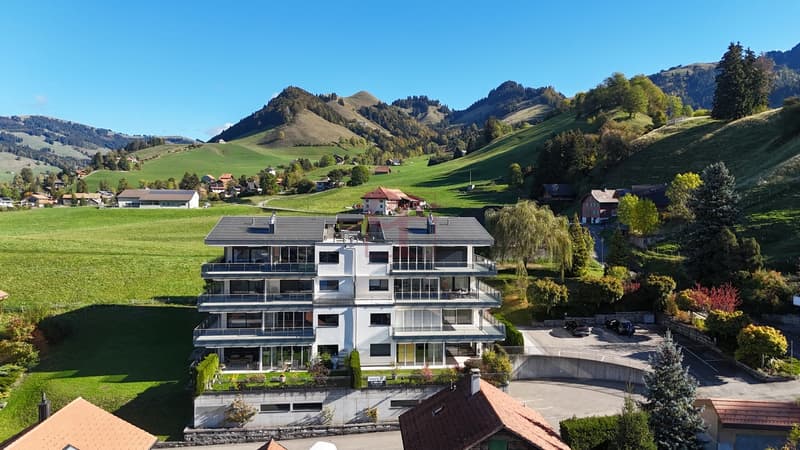 Magnifique appartement de standing contemporain et spacieux (5)