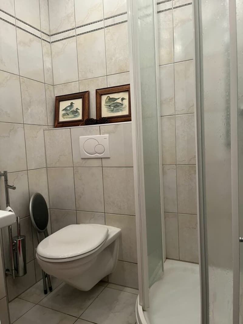 Ampio appartamento di 3,5 locali nella casa Längfluh. Riservato. (20)