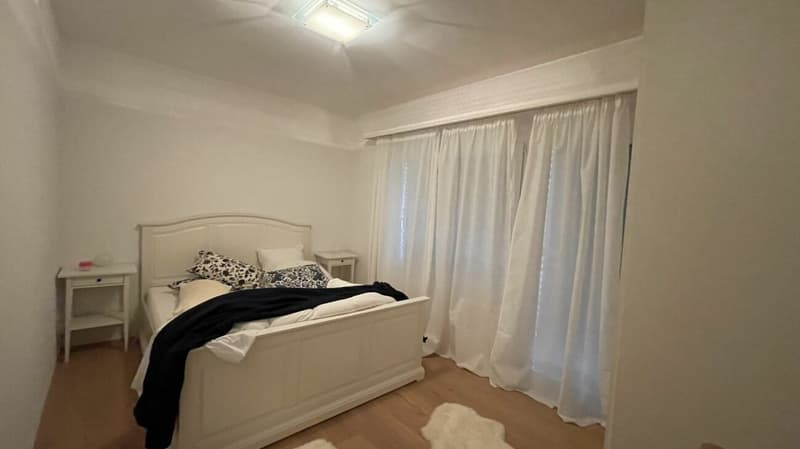 Résidence dans le soleil de Wildi appartement 5 chambres. Nouveau prix ! (9)