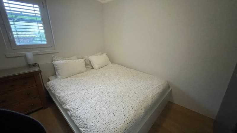 Résidence dans le soleil de Wildi appartement 5 chambres. Nouveau prix ! (11)