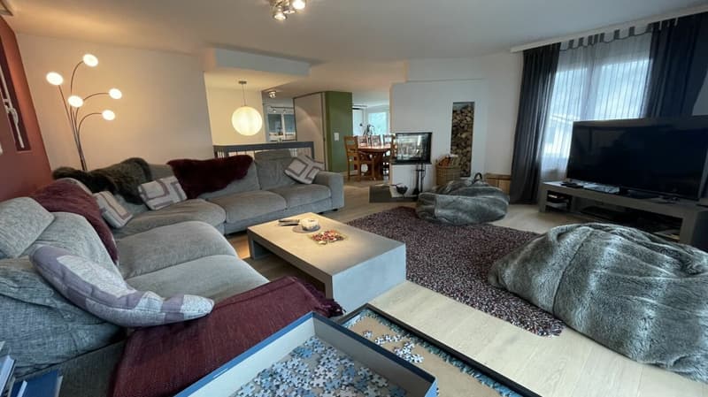 Résidence dans le soleil de Wildi appartement 5 chambres. Nouveau prix ! (3)