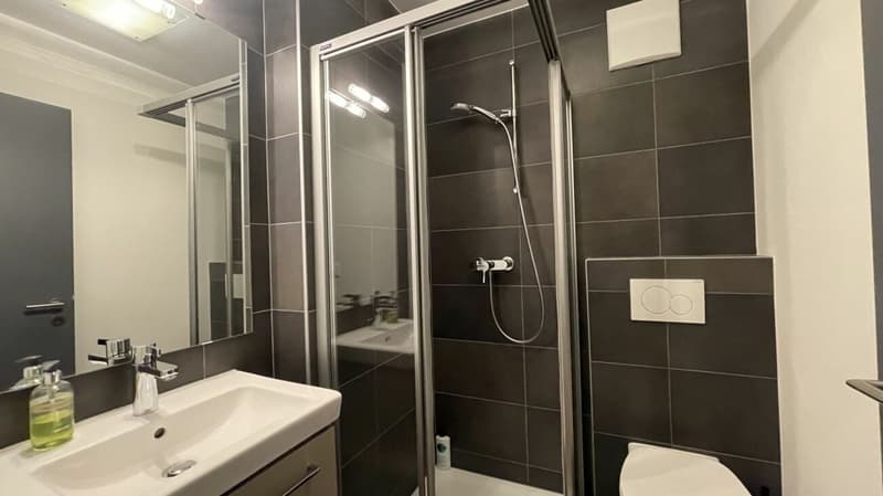 Résidence dans le soleil de Wildi appartement 5 chambres. Nouveau prix ! (8)