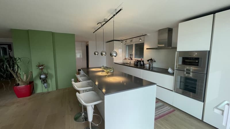 Résidence dans le soleil de Wildi appartement 5 chambres. Nouveau prix ! (4)