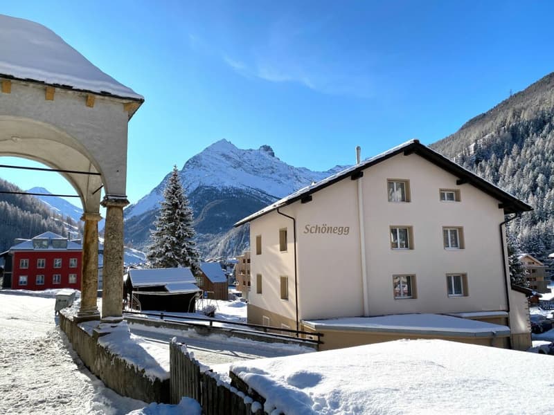 Beautiful Schönegg very comfortable 4.5 room apartment (18)