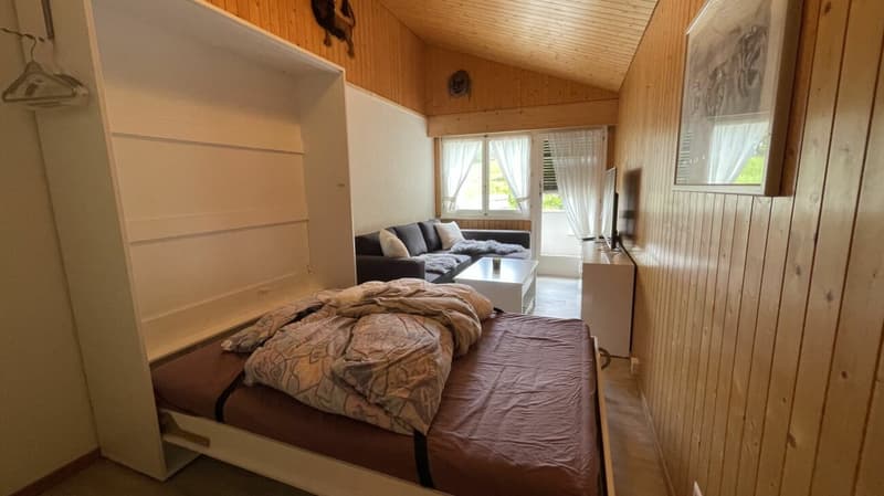 Studio on Saumweg with private parking in Felskaverne (4)