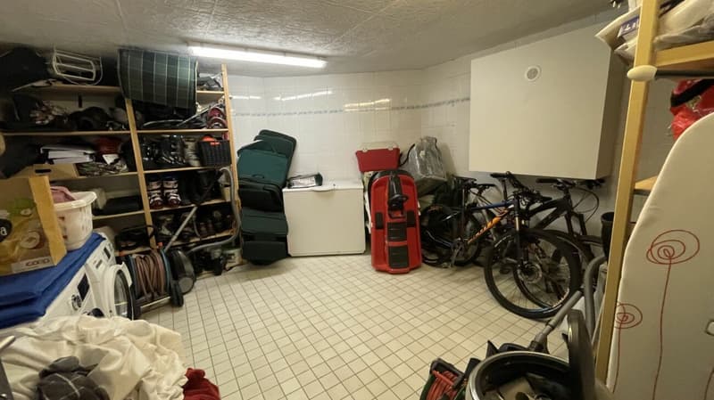 Residence in der sonnigen Wildi 5 Zimmerwohnung. Neuer Preis! (15)