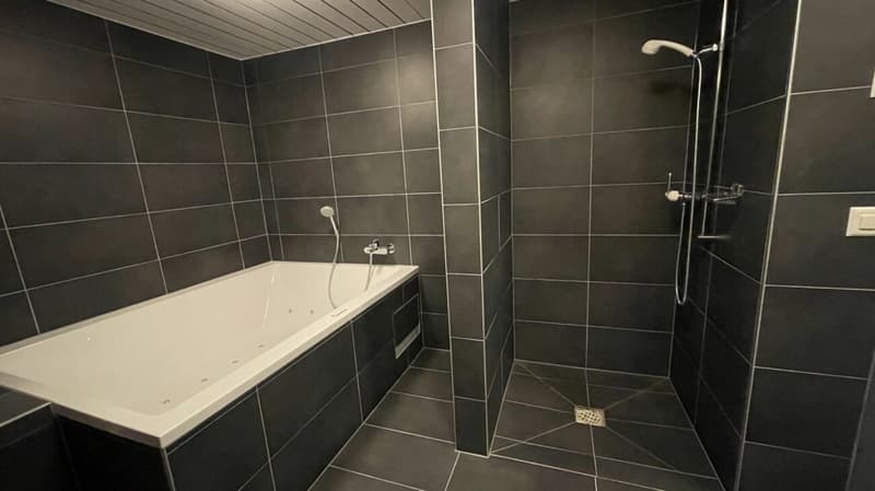 Residence in der sonnigen Wildi 5 Zimmerwohnung. Neuer Preis! (12)