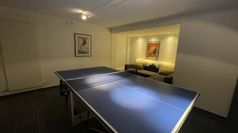 Residence in der sonnigen Wildi 5 Zimmerwohnung. Neuer Preis! (18)