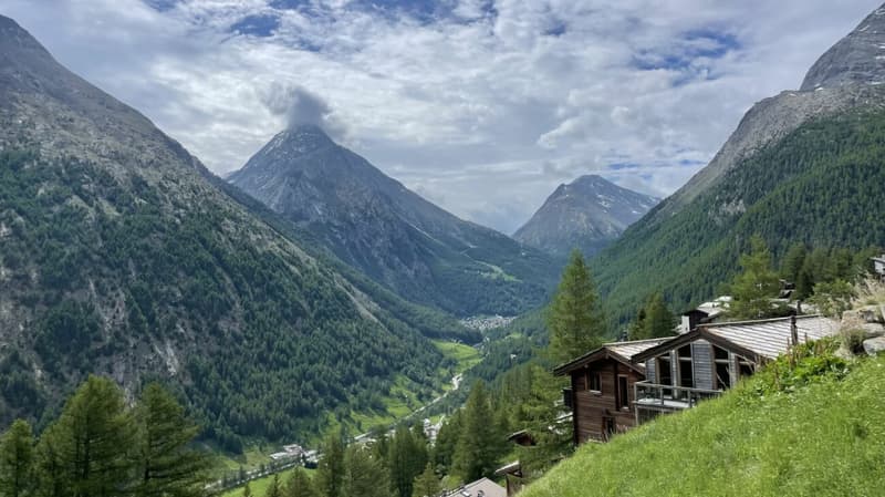 Spacious 2.5 room apartment with east balcony in sunny Wildi (1)