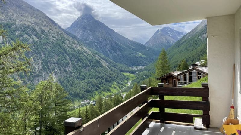 Spacious 2.5 room apartment with east balcony in sunny Wildi (12)