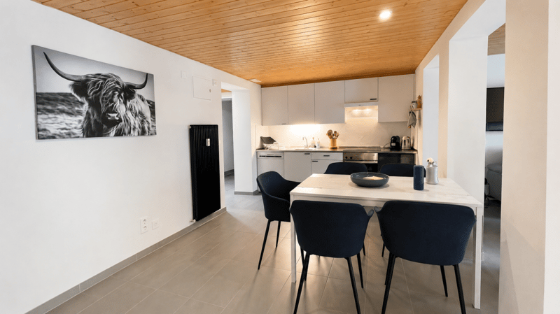 Spacious 2.5 room apartment with east balcony in sunny Wildi (3)