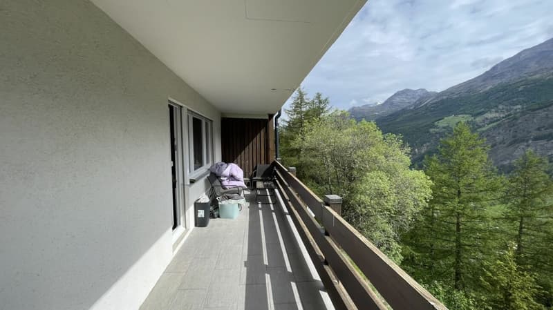 Spacious 2.5 room apartment with east balcony in sunny Wildi (13)