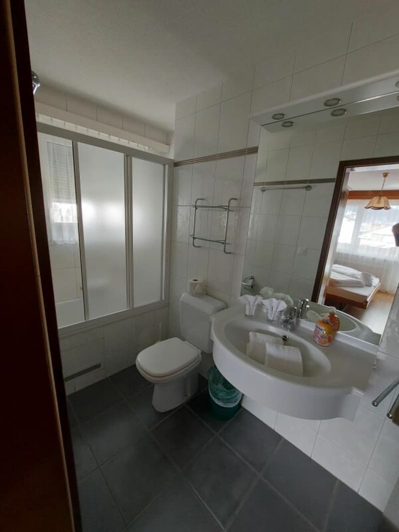 Hotel Alpha, un bell'impresa a 3 stelle a Saas-Grund. (11)
