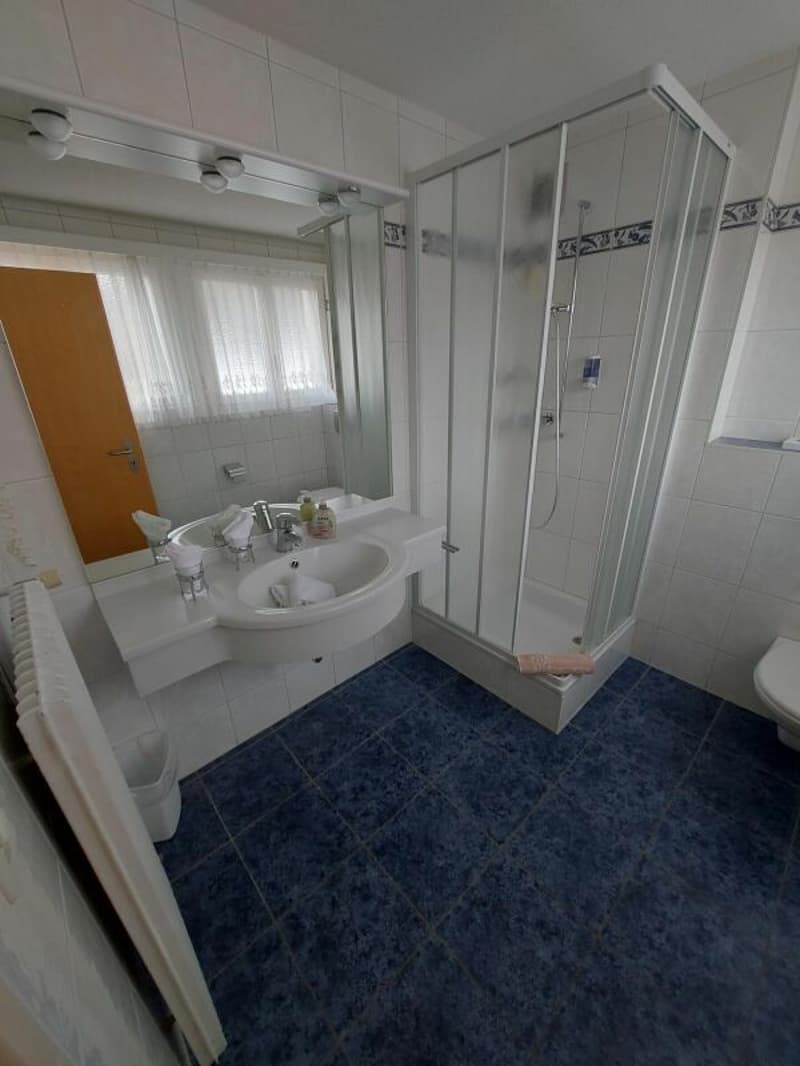 Hotel Alpha, un bell'impresa a 3 stelle a Saas-Grund. (10)