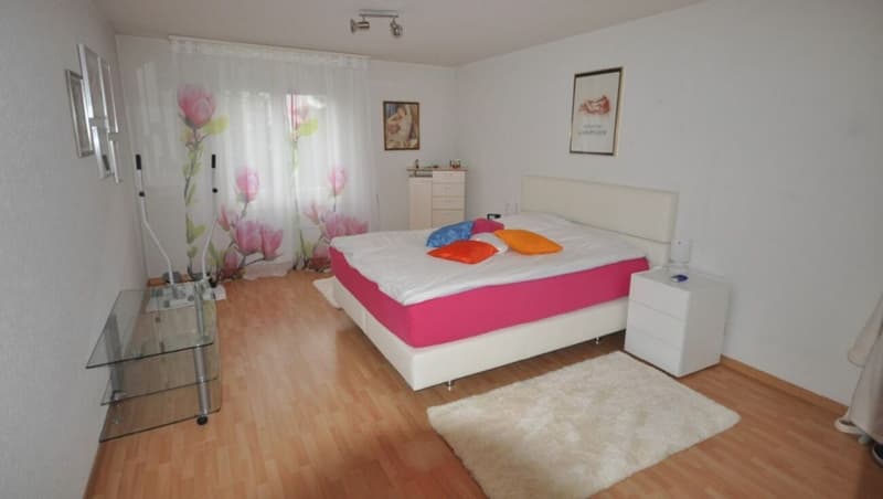 Ampio appartamento 2.5 locali con giardino privato (3)