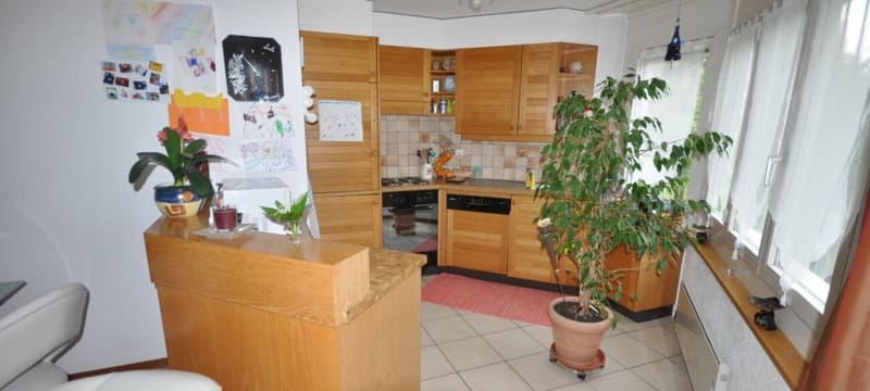 Ampio appartamento 2.5 locali con giardino privato (1)
