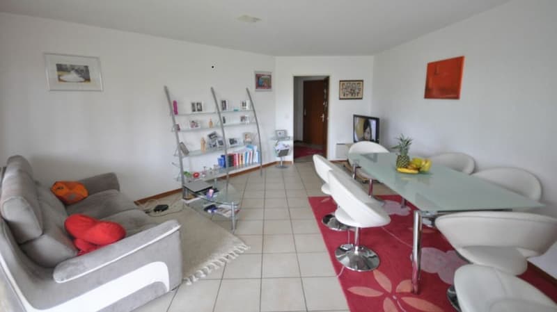 Ampio appartamento 2.5 locali con giardino privato (2)