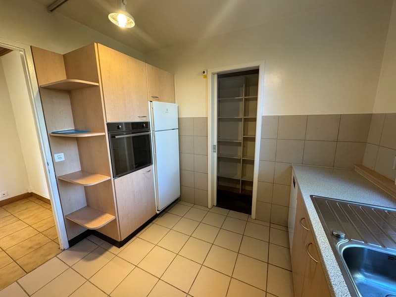 modern equipped kitchen, stove, refrigerator, sink, cabinets, shelves