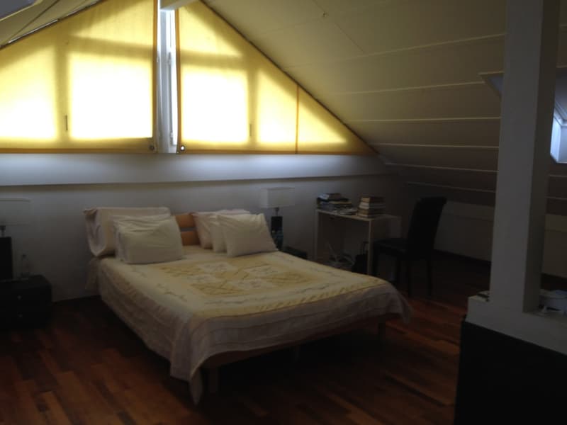 Magnificent single-family house with 6 rooms in Chêne-Bougeries (5)