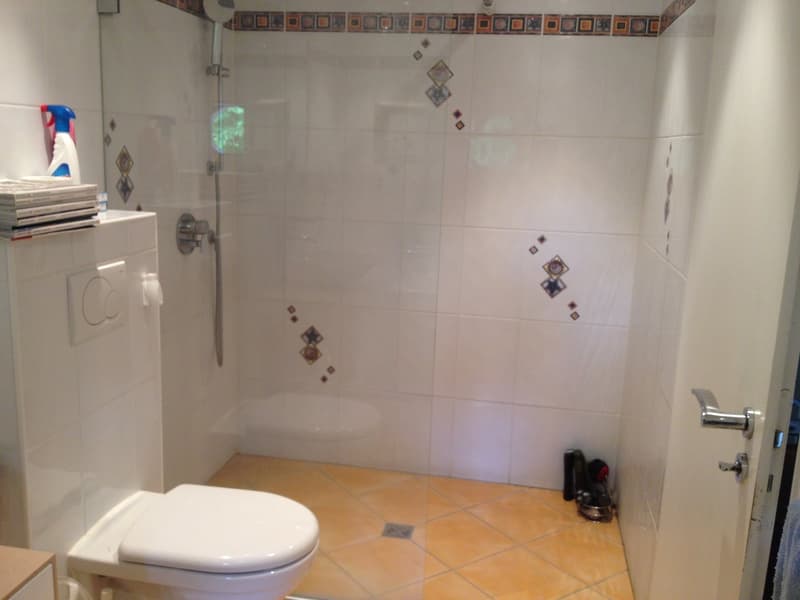 Magnificent single-family house with 6 rooms in Chêne-Bougeries (9)