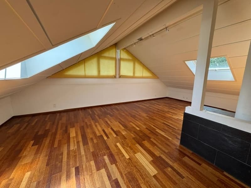 Magnifique maison individuelle de 6 pièces à Chêne-Bougeries (6)