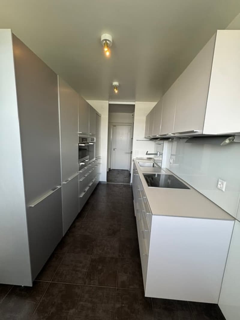 Magnificent 7.5-room attic apartment with panoramic view – Geneva Florissant (11)