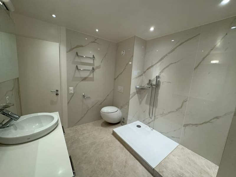 Magnificent 7.5-room attic apartment with panoramic view – Geneva Florissant (3)