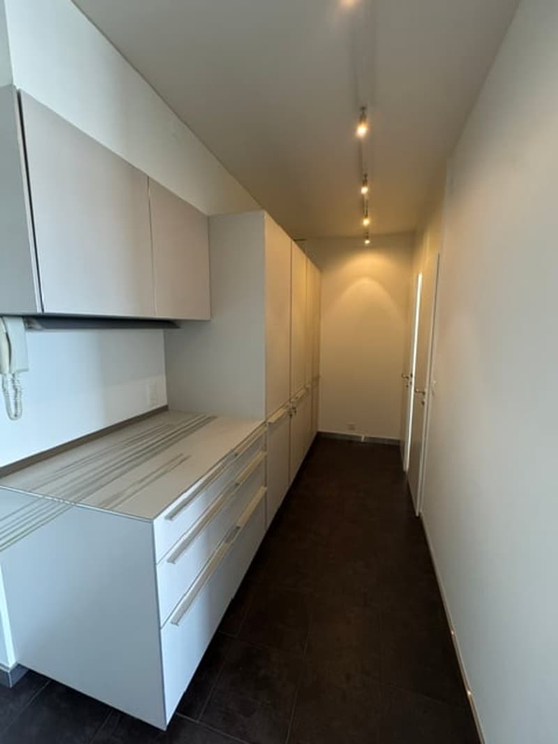 Magnificent 7.5-room attic apartment with panoramic view – Geneva Florissant (12)