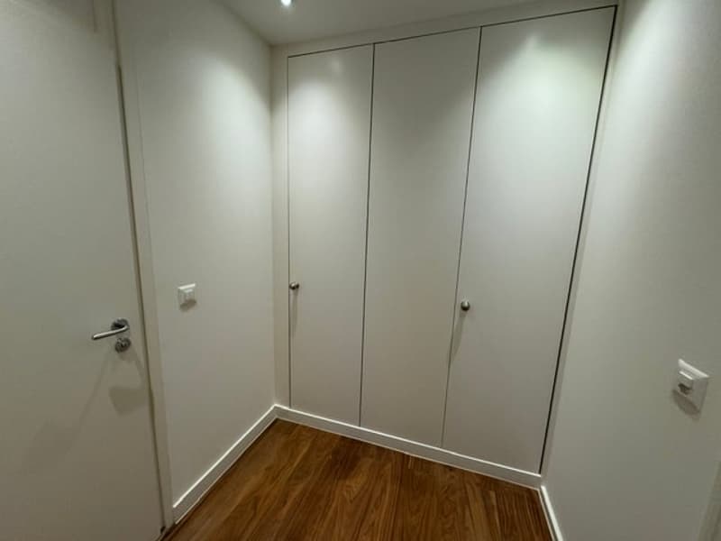 Magnificent 7.5-room attic apartment with panoramic view – Geneva Florissant (6)